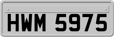HWM5975