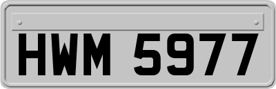 HWM5977