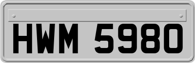 HWM5980