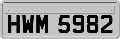 HWM5982