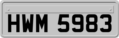 HWM5983