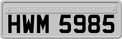 HWM5985