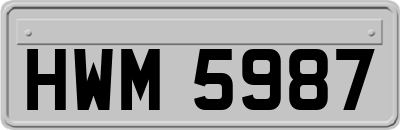 HWM5987