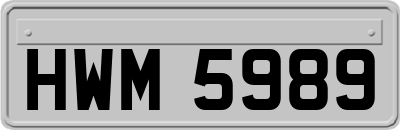 HWM5989
