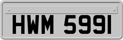 HWM5991