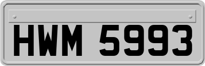 HWM5993