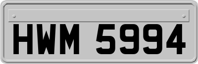 HWM5994