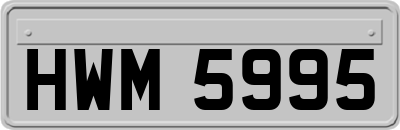 HWM5995