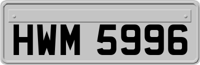 HWM5996