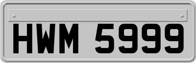 HWM5999