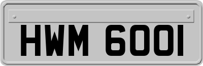 HWM6001