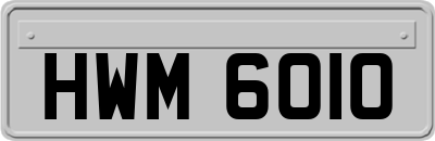 HWM6010