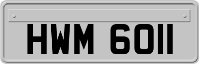 HWM6011