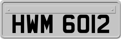 HWM6012