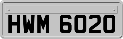 HWM6020