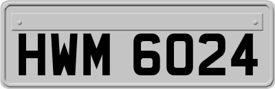 HWM6024