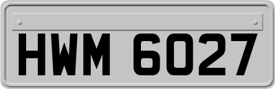 HWM6027