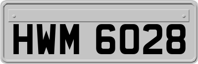 HWM6028