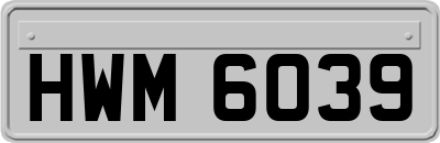 HWM6039