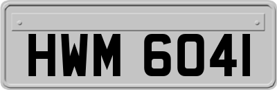 HWM6041