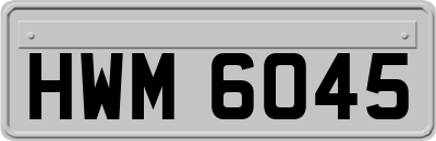 HWM6045