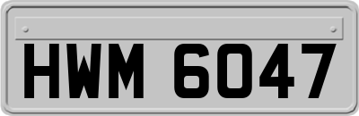 HWM6047
