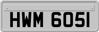 HWM6051