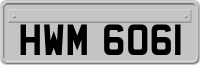 HWM6061