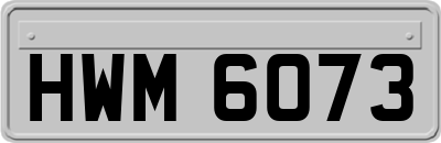 HWM6073