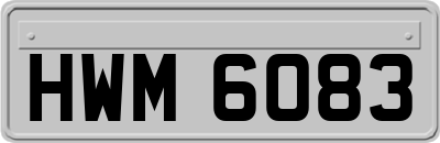 HWM6083