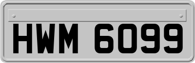 HWM6099
