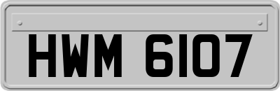 HWM6107