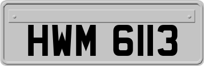HWM6113