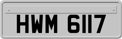HWM6117