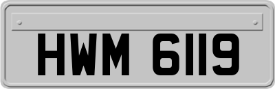 HWM6119