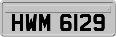 HWM6129
