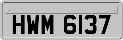 HWM6137