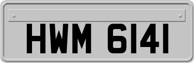 HWM6141