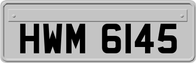 HWM6145