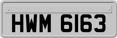 HWM6163