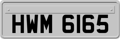 HWM6165