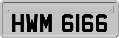 HWM6166