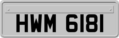 HWM6181