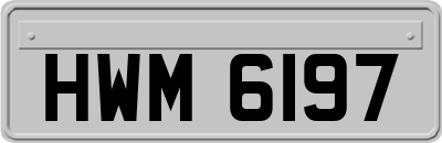 HWM6197