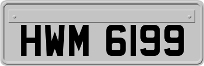 HWM6199