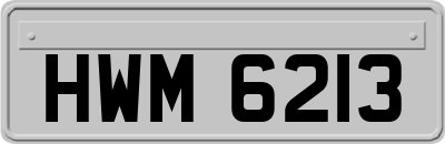 HWM6213