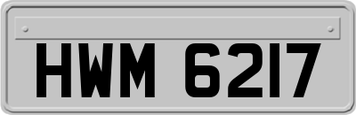 HWM6217