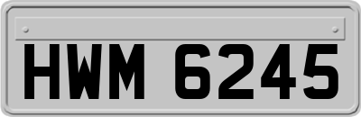 HWM6245
