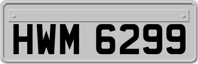 HWM6299
