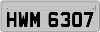 HWM6307